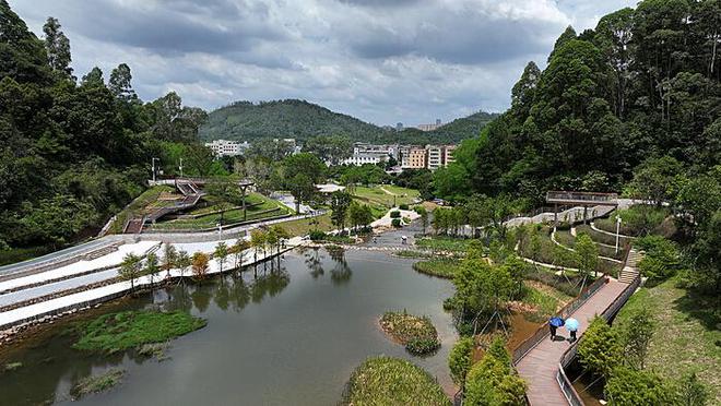 宝宝斜颈治疗遭遇"甩来甩去"：了解与应对策略